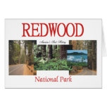 ABH Redwood Cards