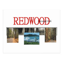 ABH Redwood Post Cards