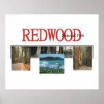 ABH Redwood Poster