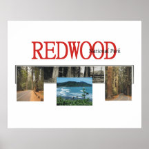 ABH Redwood Poster