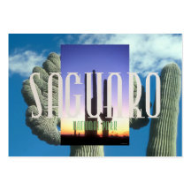 ABH Saguaro Business Card Templates