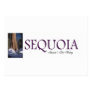 ABH Sequoia Business Cards