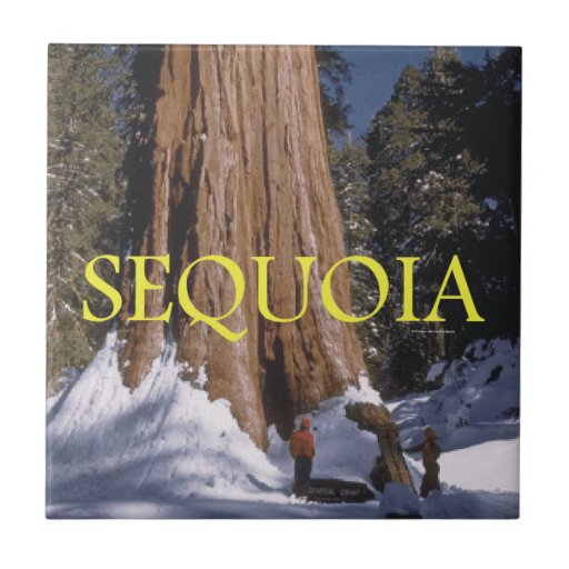 ABH Sequoia Ceramic Tiles