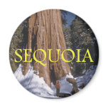 ABH Sequoia Magnets