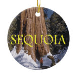 ABH Sequoia Ornament