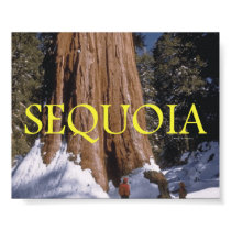 ABH Sequoia Posters
