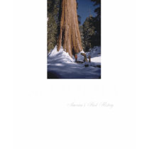 ABH Sequoia Tees