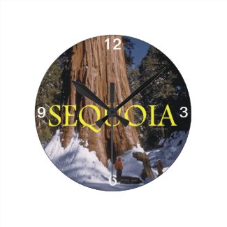 ABH Sequoia