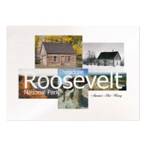 ABH Theodore Roosevelt NP business cards