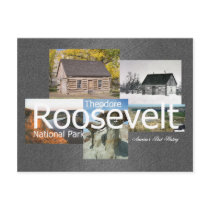 ABH Theodore Roosevelt NP Post Card