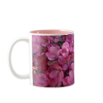 Abigail 1 coffee mug