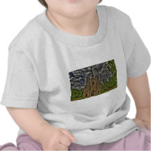 Abney Park Chapel Tees