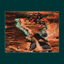 AbNoRmAl postcards