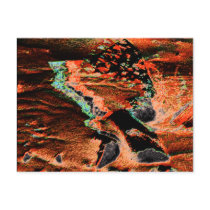 AbNoRmAl Post Card