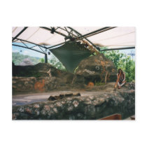 Aboriginal postcards by TravellingSue Aboriginal postcards