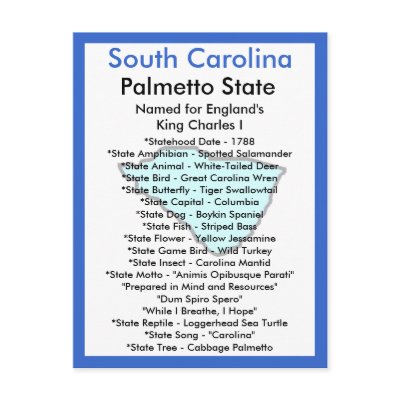 About South Carolina Postcard by archemedes