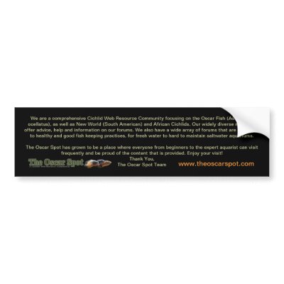 About The Oscar Spot Bumper sticker by oscar_azac