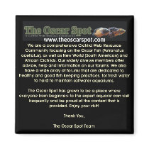 About The Oscar Spot magnets by oscar_azac About The Oscar Spot magnets