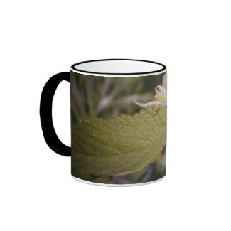 about to fly mug