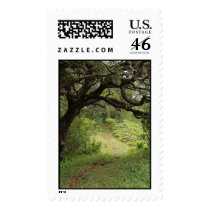 Above Manoa Valley postage