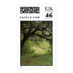 Above Manoa Valley postage