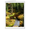 Above Ruedi cards
