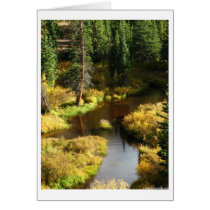 Above Ruedi cards by sedanistudio Above Ruedi cards