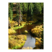 Above Ruedi posters