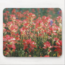 Above The Crowd mousepads