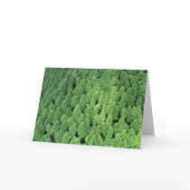 Above the Forest cards