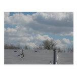 above the house tops postcard postcards