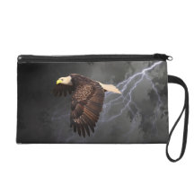 ABOVE THE STORM WRISTLET CLUTCH