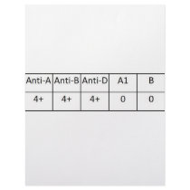 ABPOS CUSTOMIZED LETTERHEAD