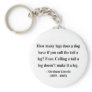 Abraham Lincoln Quote 13a Key Chains