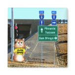 Abrahamster in Yuma Forking Thoughts Magnet magnets