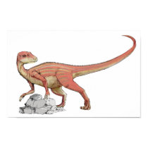 Abrictosaurus - Jurassic Dinosaur Portfolio posters by LisasLair Abrictosaurus - Jurassic Dinosaur Portfolio posters