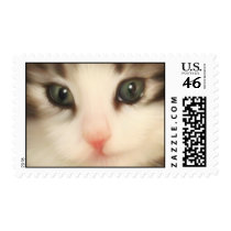 Abril Postage Stamps