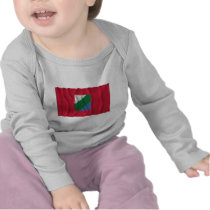 Abruzzo waving flag tshirt