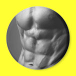 Abs Magnet magnets