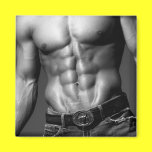 Abs Magnet #10 magnets