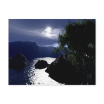 Absence Of Strife Postcard