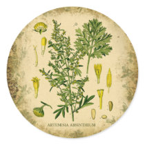 Absinthe Botanical Collage Round Sticker