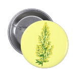 Absinthium Flowers Pinback Button