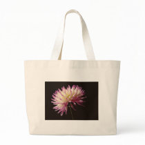 absolute beauty bag