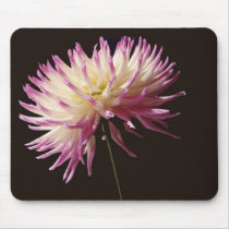 absolute beauty mouse pads