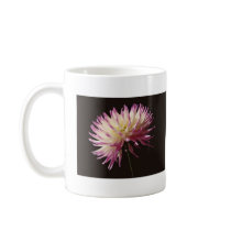 absolute beauty mugs