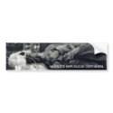 ABSOLUTE REPUBLICAN CAPITALISM bumper stickers