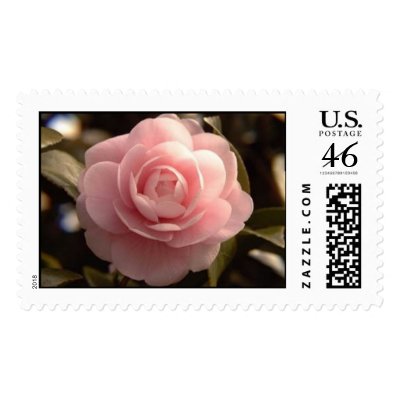 "Absolutely Flawless Pink Camellia" Postage