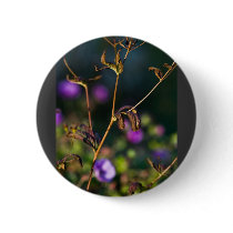 absorbing empathy buttons