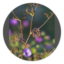 absorbing empathy stickers by blacqbook absorbing empathy stickers